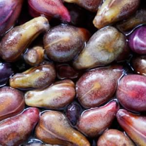 grapeseed-extract
