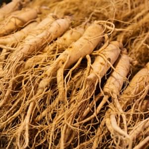 panax-ginseng-root